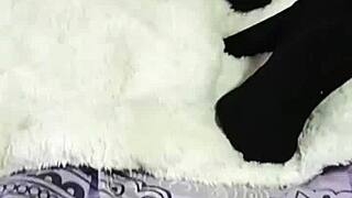 现场#8 视频: The sexy bride showing off her bald pussy in boots...